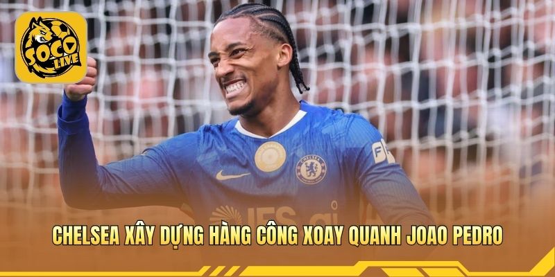 Chelsea xây dựng hàng công mới xoay quanh Joao Pedro ổn định 
